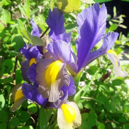 Casa de Férias Kalina