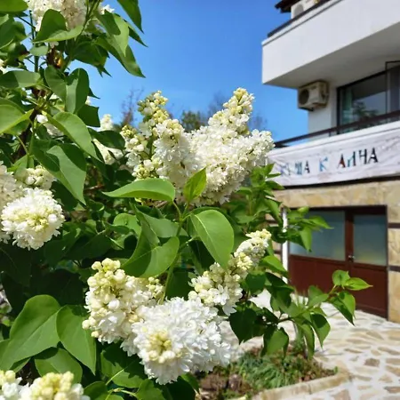 Kalina * Łozenec