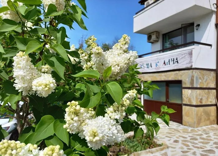 Kalina * 로제넷츠